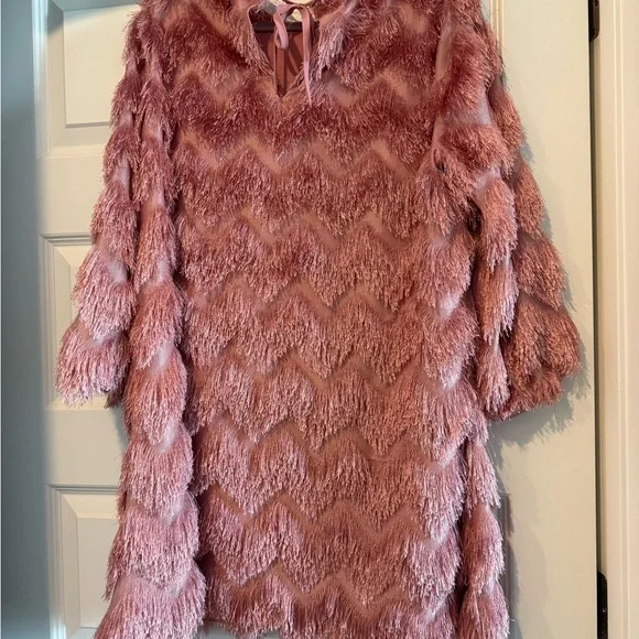 Hutch Pink Chevron Mini Dress - Picture 2 of 4